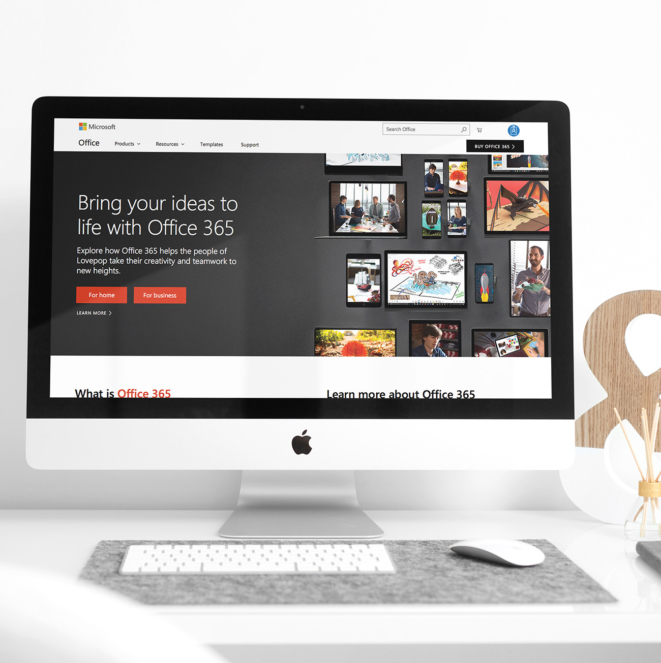 office365